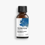 Phenylpiracetam – Solution, 3000mg (100mg/mL)