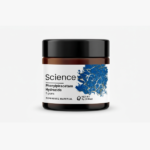 Phenylpiracetam Hydrazide – Powder, 5g